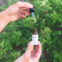 Arborescent serum ANATO LIFE Regenerative Elixir 2