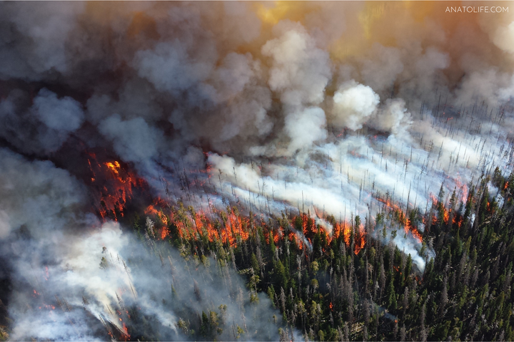 Wildfires: Forest Management with a Firefighter & Indigenous Peoples