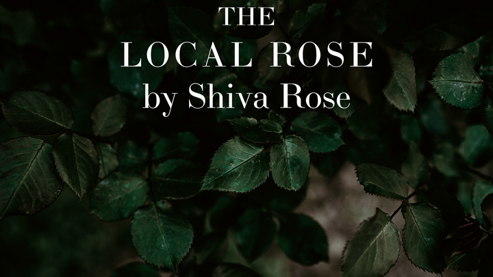 Local Rose by Shiva Rose