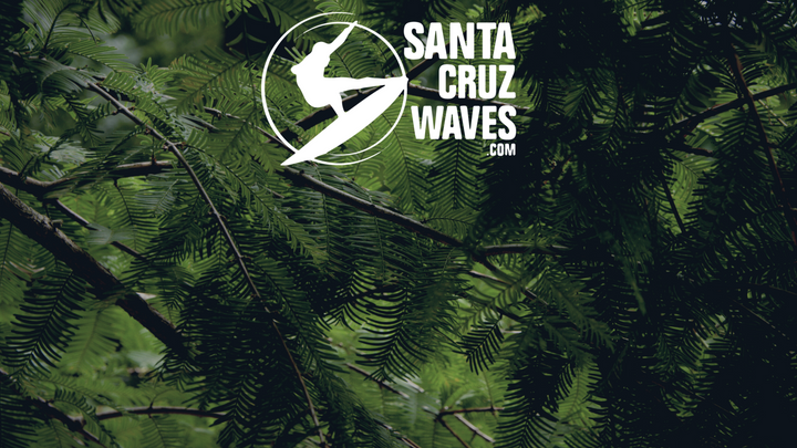 Santa Cruz Waves