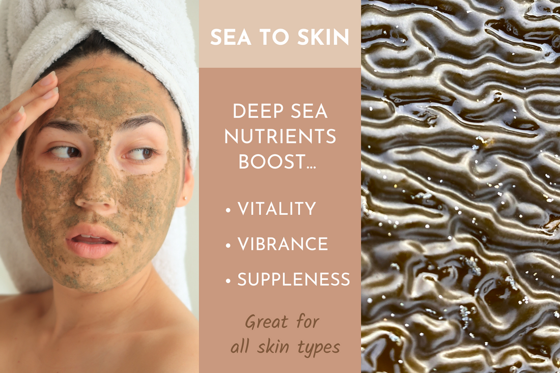 Kelp Forest Face Mask & Polish