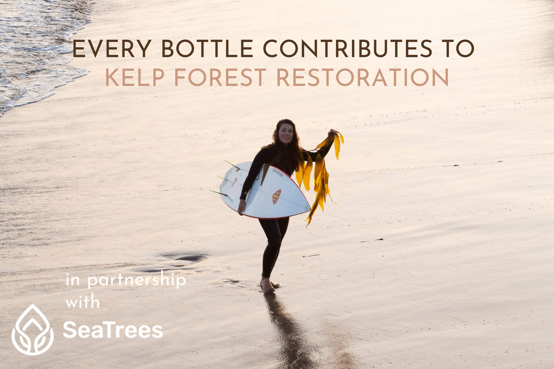 KELP FOREST RESTORATION ANATO LIFE REGENERATIVE SKINCARE
