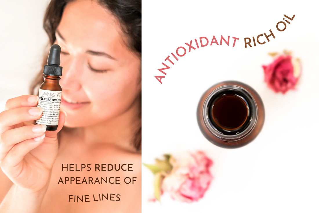 Regenerative Elixir ANATO LIFE Forest to Face skincare 7